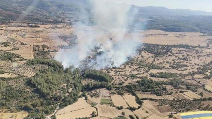 Kütahya ve Manisa'da orman yangını çıktı! İşte son durum