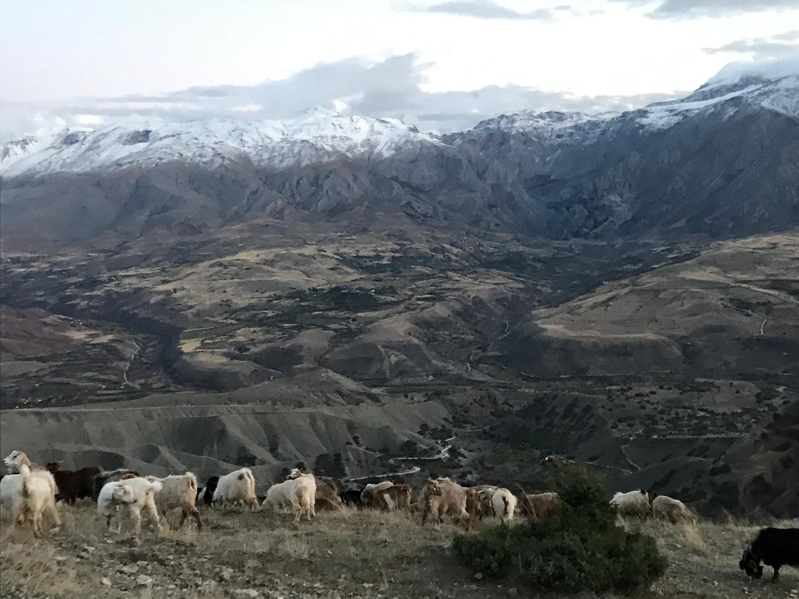 Munzur Dağı'na mevsimin ilk karı yağdı