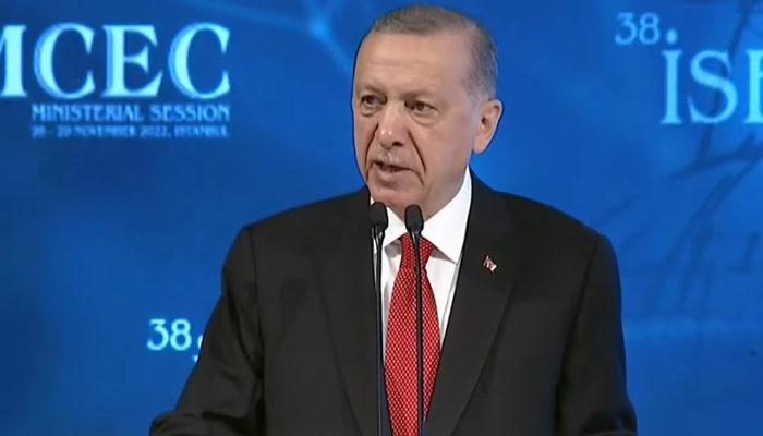  Erdoğan Yunanistan'ı işaret ederek İslam alemine çağrıda bulundu! 