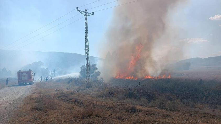 Tosya'da 40 dönüm tarım arazisi yandı